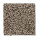 Sp926 - Iron Side Sp926 - Iron Side
