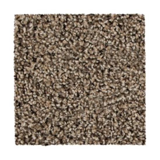 Sp830 - Tradition Sp830 - Tradition