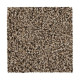 Sp830 - Tradition Sp830 - Tradition
