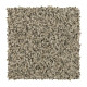 Sp830 - Flannel Sp830 - Flannel