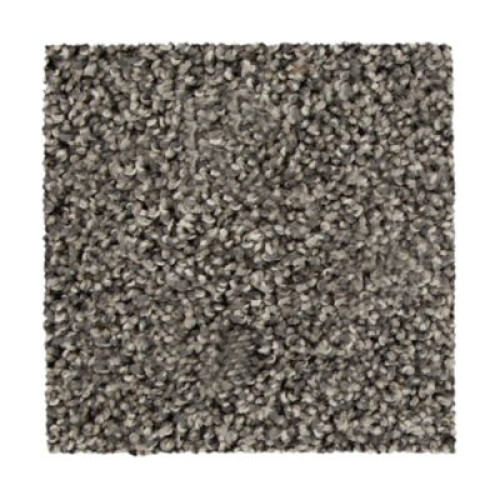 Sp830 - Shadow