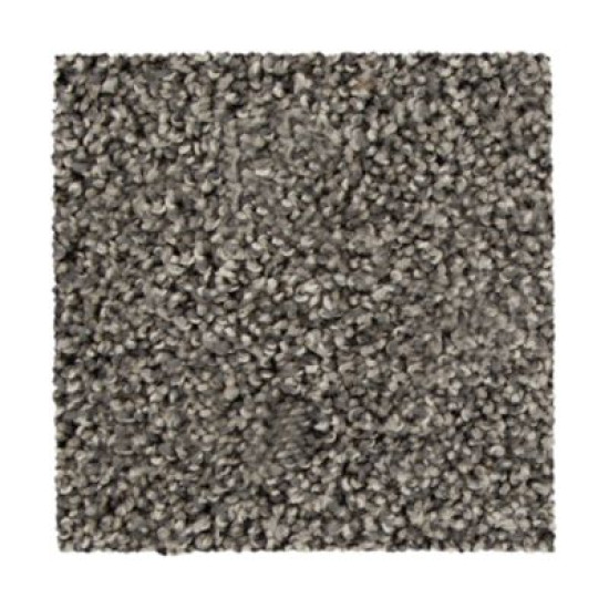 Sp830 - Shadow Sp830 - Shadow