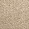 Color Fusion II - Rum Cream