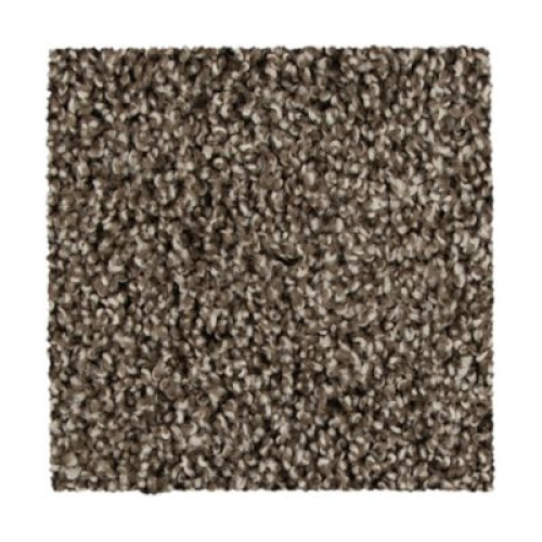 Color Fusion II - Taupe Whisper
