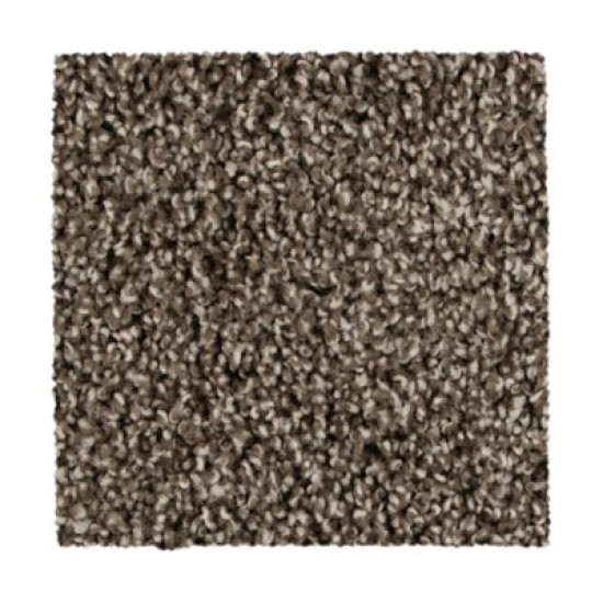 Color Fusion II - Taupe Whisper Color Fusion II - Taupe Whisper