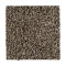 Color Fusion II - Taupe Whisper