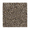 Soft Intrigue II - Rustic Charm