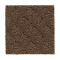 Classic Style - Desert Accents