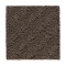 Classic Style - Dried Peat