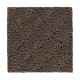 Classic Style - Dried Peat Classic Style - Dried Peat