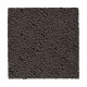 Classic Style - Raven Classic Style - Raven