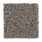 Exquisite Accent - Lace
