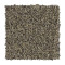 Exquisite Accent - Muslin