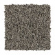 Exquisite Accent - Quarry Exquisite Accent - Quarry