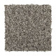 Exquisite Accent - Dreamland Exquisite Accent - Dreamland