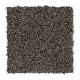 Exquisite Accent - Moonshot Exquisite Accent - Moonshot