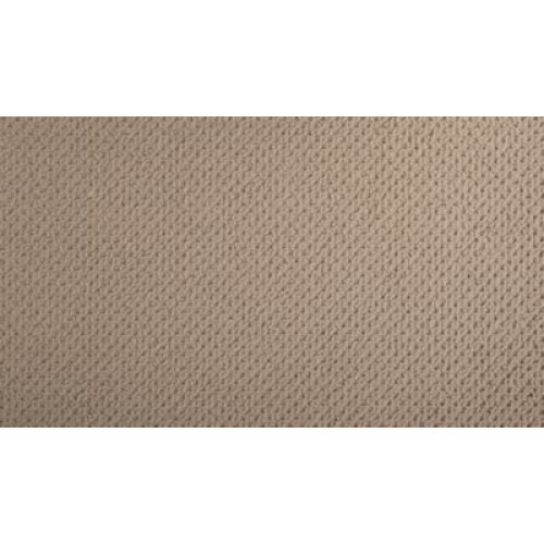 Casual Elegance - Renoir Bisque