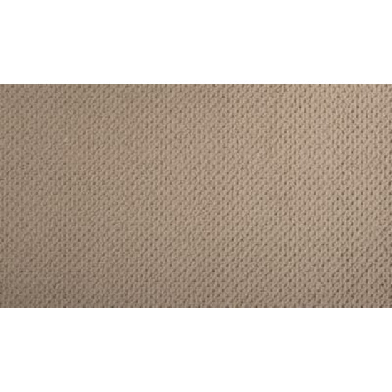 Casual Elegance - Renoir Bisque Casual Elegance - Renoir Bisque