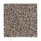Soft Accolade II - Lithe Wind Soft Accolade II - Lithe Wind