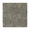 Woven Elements - Turnstone