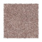 Soft Comfort - Earth Tone
