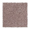 Soft Comfort - Toasted Hazelnut
