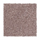 Soft Comfort - Toasted Hazelnut Soft Comfort - Toasted Hazelnut