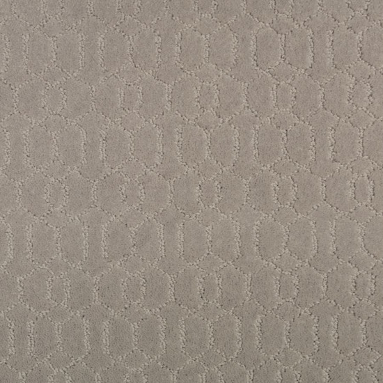 Delicate Tracery - Shilling Delicate Tracery - Shilling