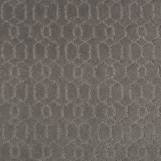 Delicate Tracery - Boulevard Delicate Tracery - Boulevard