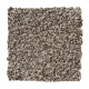 Sp398 - Mushroom Cap Sp398 - Mushroom Cap