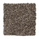 Hl104 - Coffee Bean Hl104 - Coffee Bean