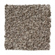 Sp399 - Mushroom Cap Sp399 - Mushroom Cap