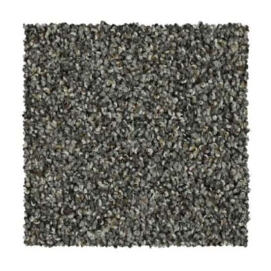 Captivating Outlook - Studio Steel Captivating Outlook - Studio Steel