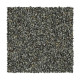 Captivating Outlook - Studio Steel Captivating Outlook - Studio Steel