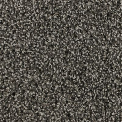 Graceful Intrigue - Rustic Beam