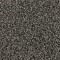 Graceful Intrigue - Rustic Beam
