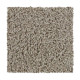 Hb227 - Canvas Hb227 - Canvas