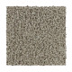 Hb227 - Oat Hb227 - Oat
