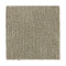 Natural Texture - Shoreline