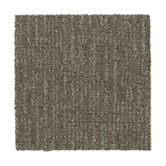Natural Texture - Mushroom Cap Natural Texture - Mushroom Cap