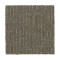 Natural Texture - Mushroom Cap