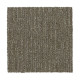 Natural Texture - Mushroom Cap Natural Texture - Mushroom Cap