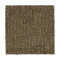 Natural Texture - Beach Pebble
