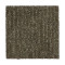 Natural Texture - Pine Cone