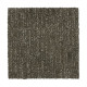 Natural Texture - Maple Tint Natural Texture - Maple Tint