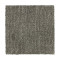 Natural Texture - Overcast