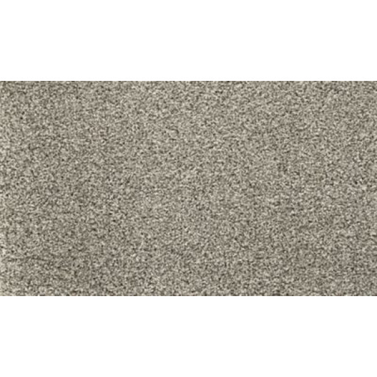 Detailed Statement - Quiet Light Detailed Statement - Quiet Light