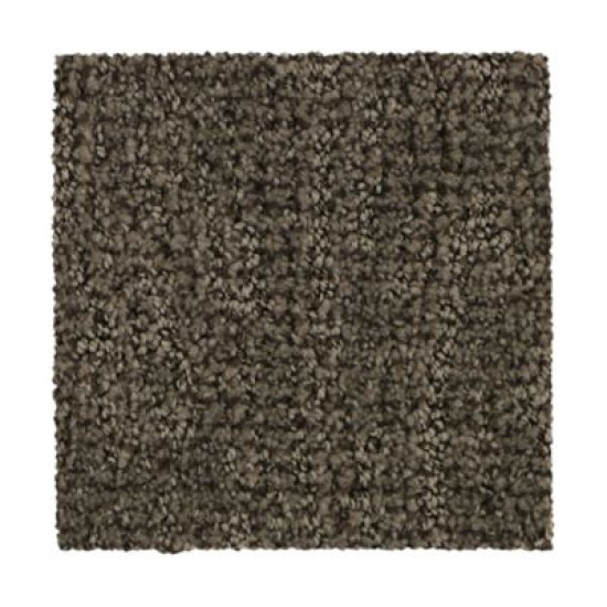 Stylish Trend - Sequoia Stylish Trend - Sequoia