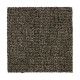 Stylish Trend - Sequoia Stylish Trend - Sequoia