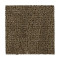 Stylish Trend - Desert Accents